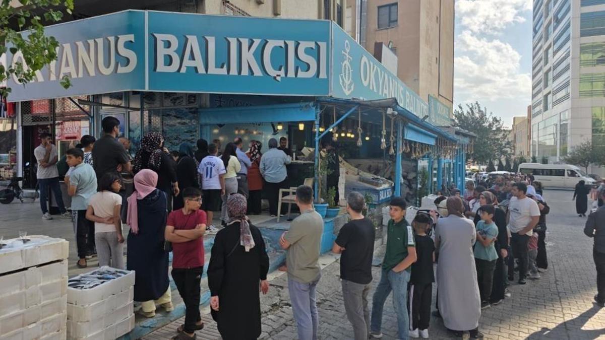 Şanlıurfa'da ucuz hamsi! 5 ton 35 TL olunca kuyruk oluştu