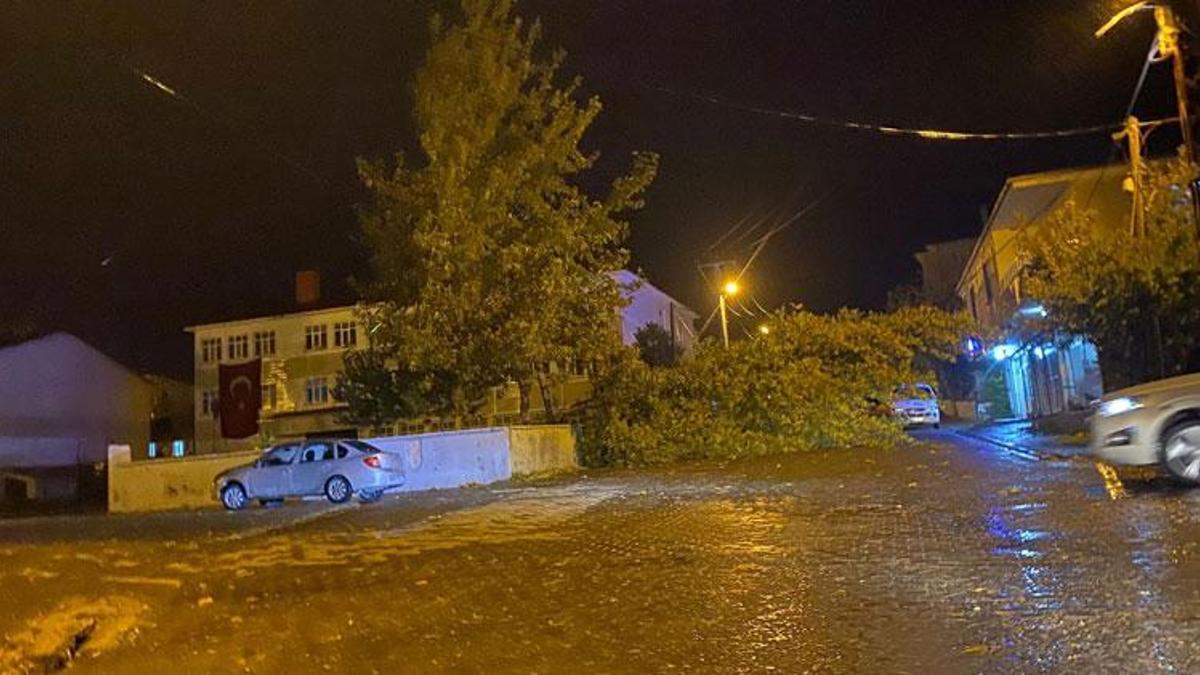 Tatvan'da rüzgarın kökünden söktüğü ağaç otomobilin üzerine devrildi