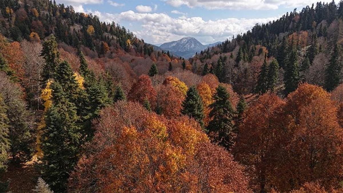 Doğanın sanata dönüştüğü yer! Adana'nın o noktasına giden mest oluyor