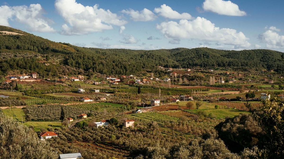 Seferihisar'da 'Orhanlı Köyü 2'nci Zeytin Hasadı Festivali' düzenlenecek