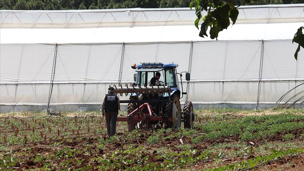 Eskişehir’de çiftçilere milyonlarca lira ödeme! İşte sebebi