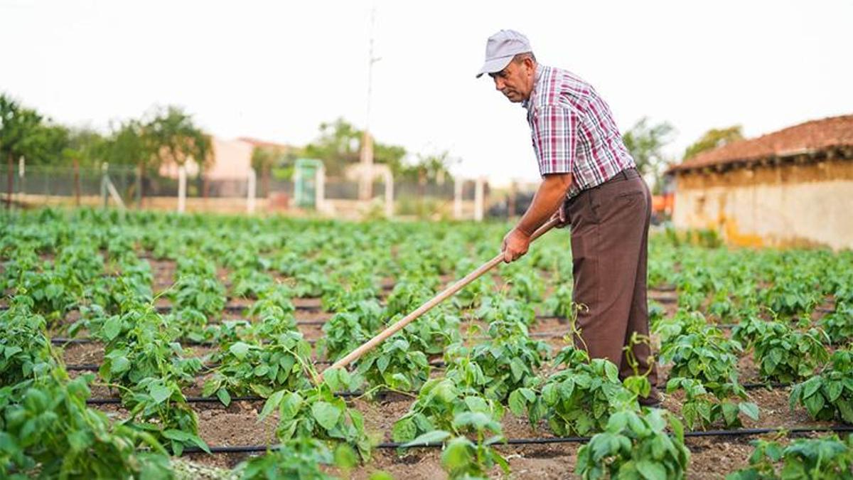 Eskişehirli üreticiye büyük destek! Tüm masraflar karşılandı