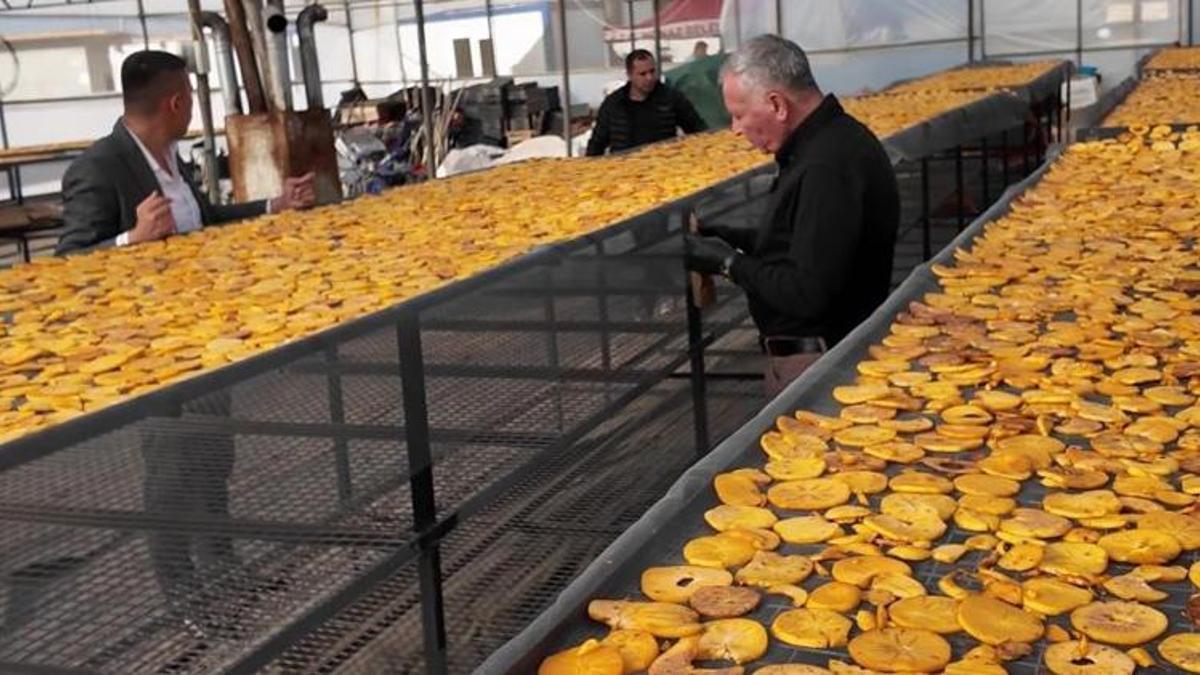 Denizli'de ilk kez uygulanan yöntemle çiftçinin geliri katlandı! Üretime geçtiler: Siparişlere yetişemiyorlar