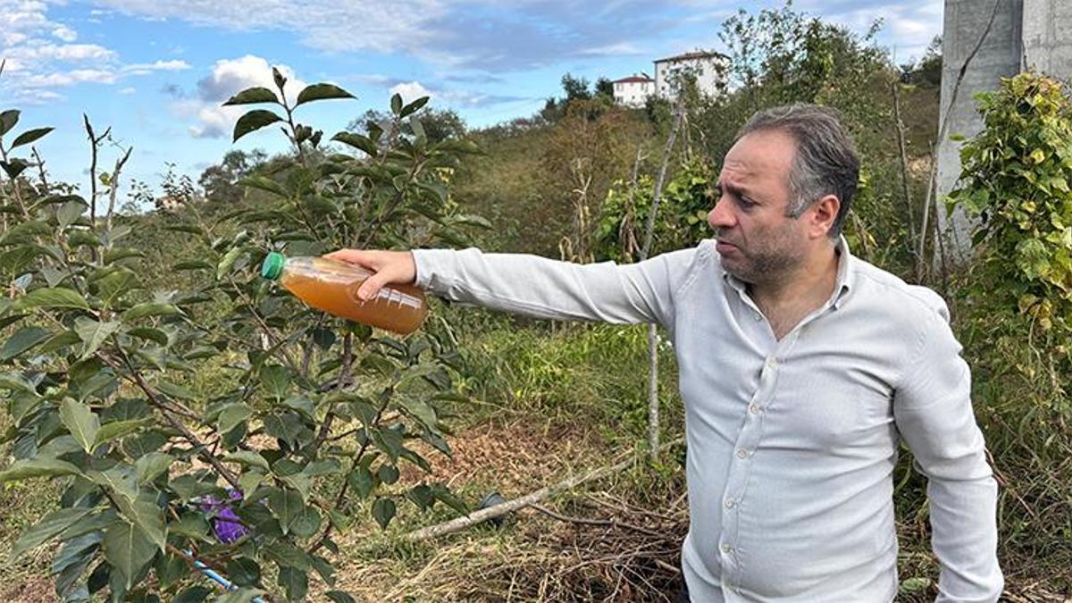 Kokarcaya karşı doğal formül! Soğan ve kadife çiçeğiyle mucize çözüm