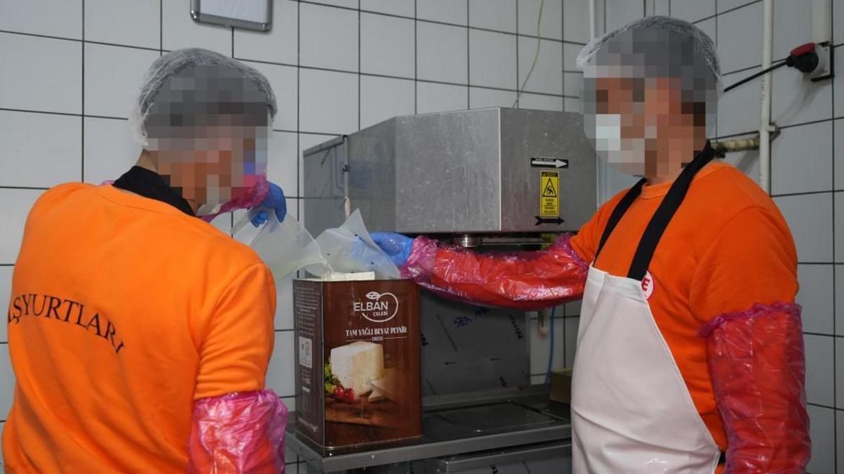 Hem meslek ediniyor hem üreterek ekonomiye katkı sağlıyor! Burada ayda 300 ton süt işleniyor