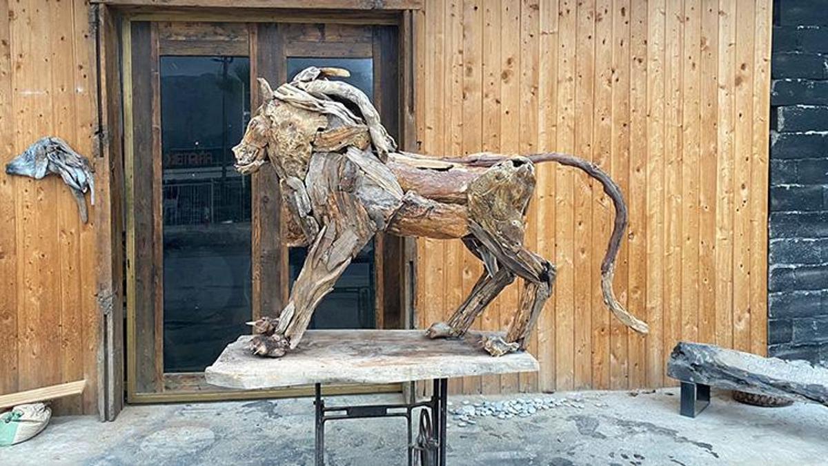 Antalya'da bir vatandaşı yaralayan aslan Zeus'un heykeli yapıldı! 'Onu sanatımla ölümsüzleştirmek istedim'