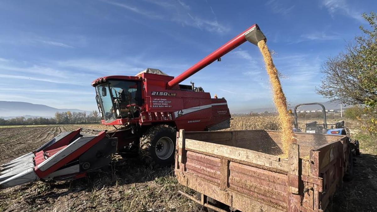İlk hasat başladı! Verim düşük, fiyatlara yansıyacak