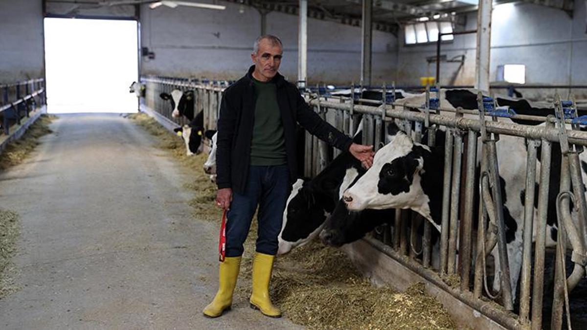 Sivaslı vatandaş devlet desteğiyle çiftlik kurdu! 20 inekle başladı sayıyı 3 kat artırdı