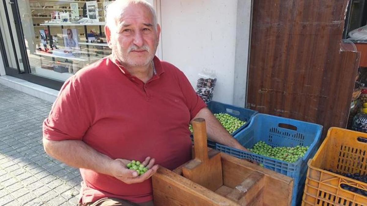 Balıkesir’de kırma zeytin mesaisi başladı! Tek tek kırılıp 2 haftada hazırlanıyor