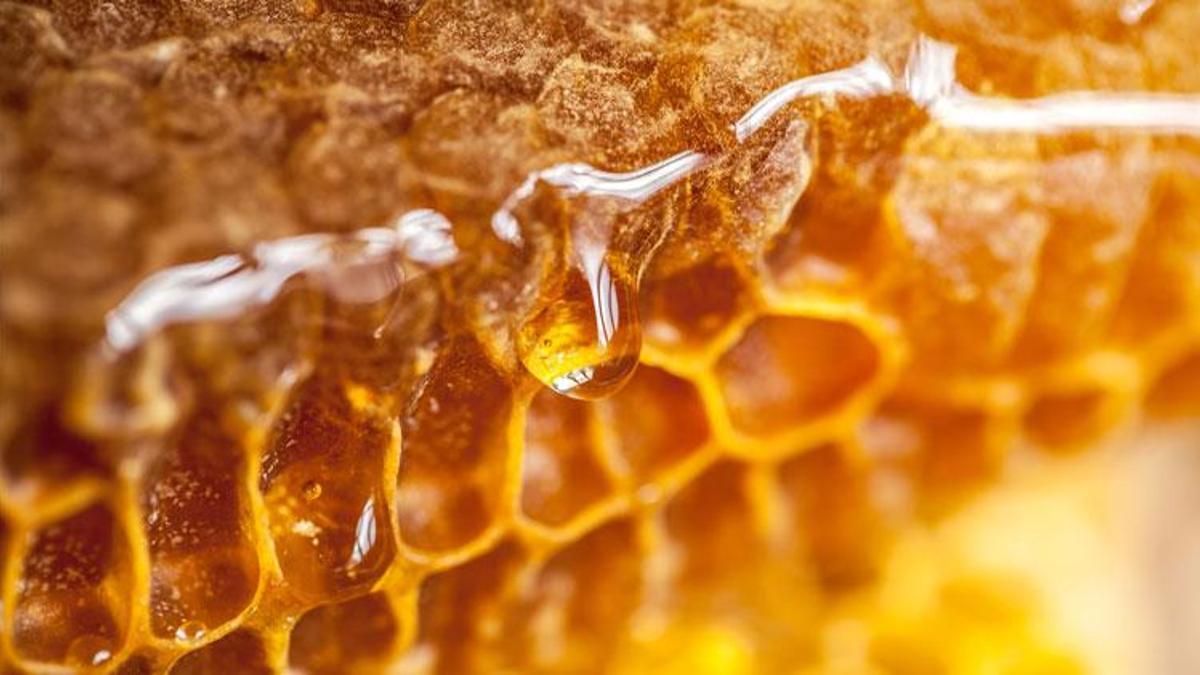 Doğunun en büyük ikinci üretisi Bingöl'de arıcılara yüzde 75 hibe ile 435 arı kovanı dağıtıldı