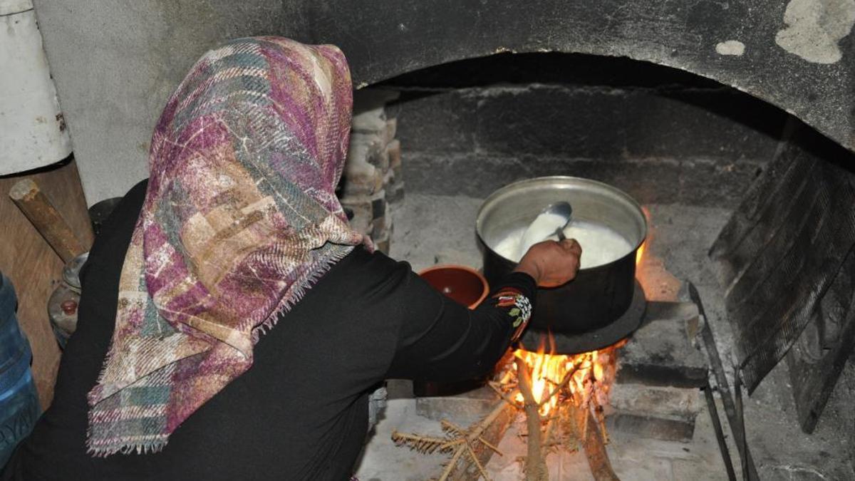 Geleneksel yöntemlerle üretiliyor! Diğer sütlere göre çok farklı tadı var
