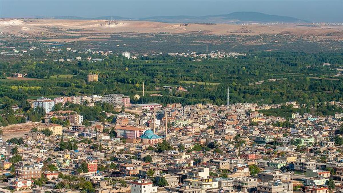 Gaziantep’te üvez alarmı! Seferberlik başladı, ekipler 7/24 sahada