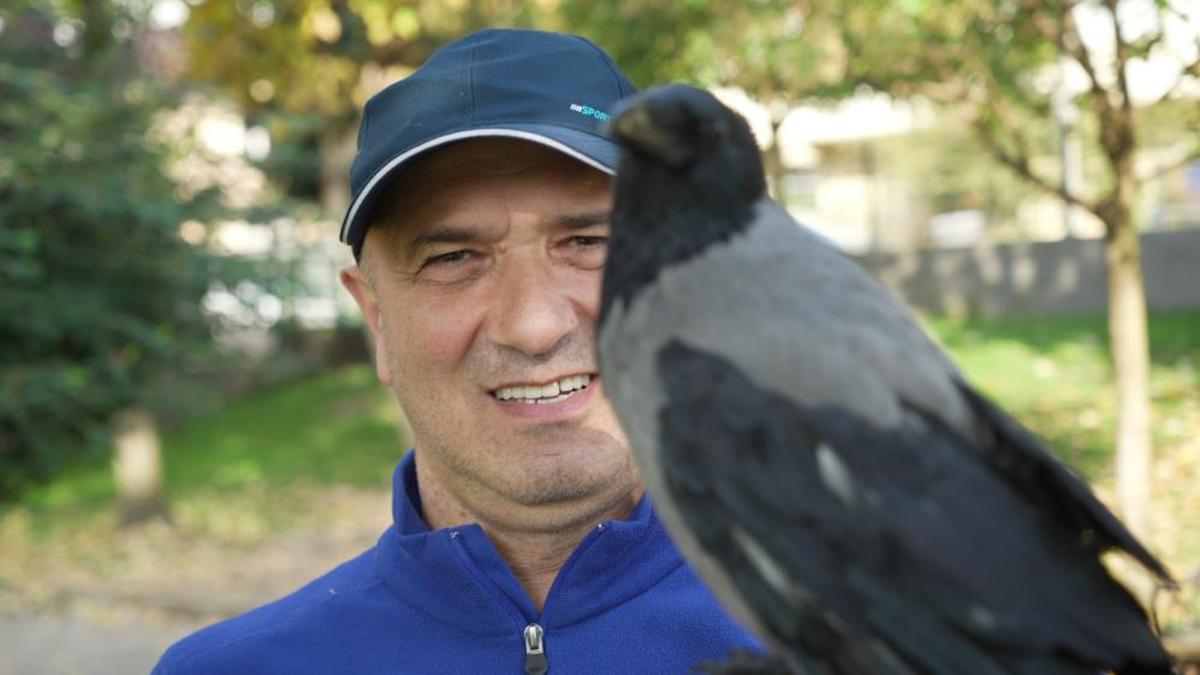 Otobüs kaptanıyla karganın 2,5 yıllık inanılmaz dostluğu! Şakir adını verdiği karga market alışverişini kendi yapıyor, çay içiyor!