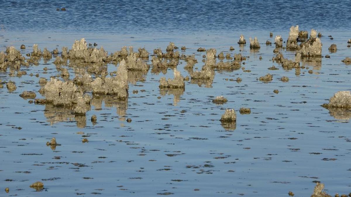 "Kuş Cenneti" olarak biliniyor! Sular çekilince mikrobiyalitler ortaya çıktı
