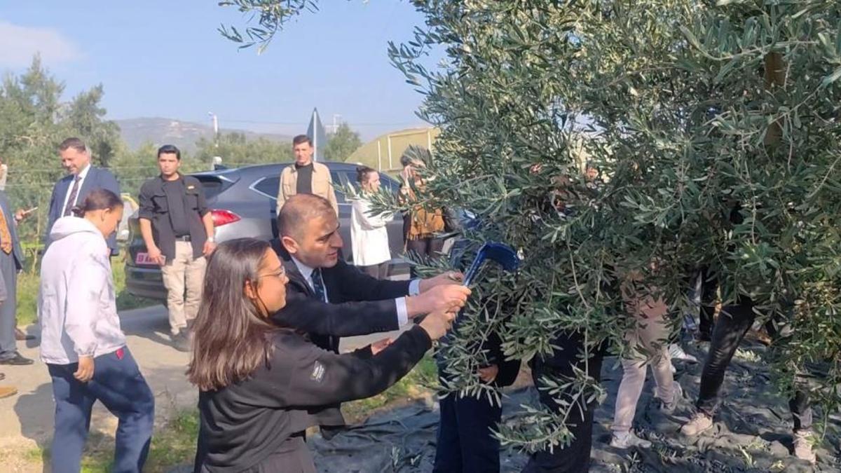 Yılın geç hasadı yapıldı! Lezzetine doyum olmuyor