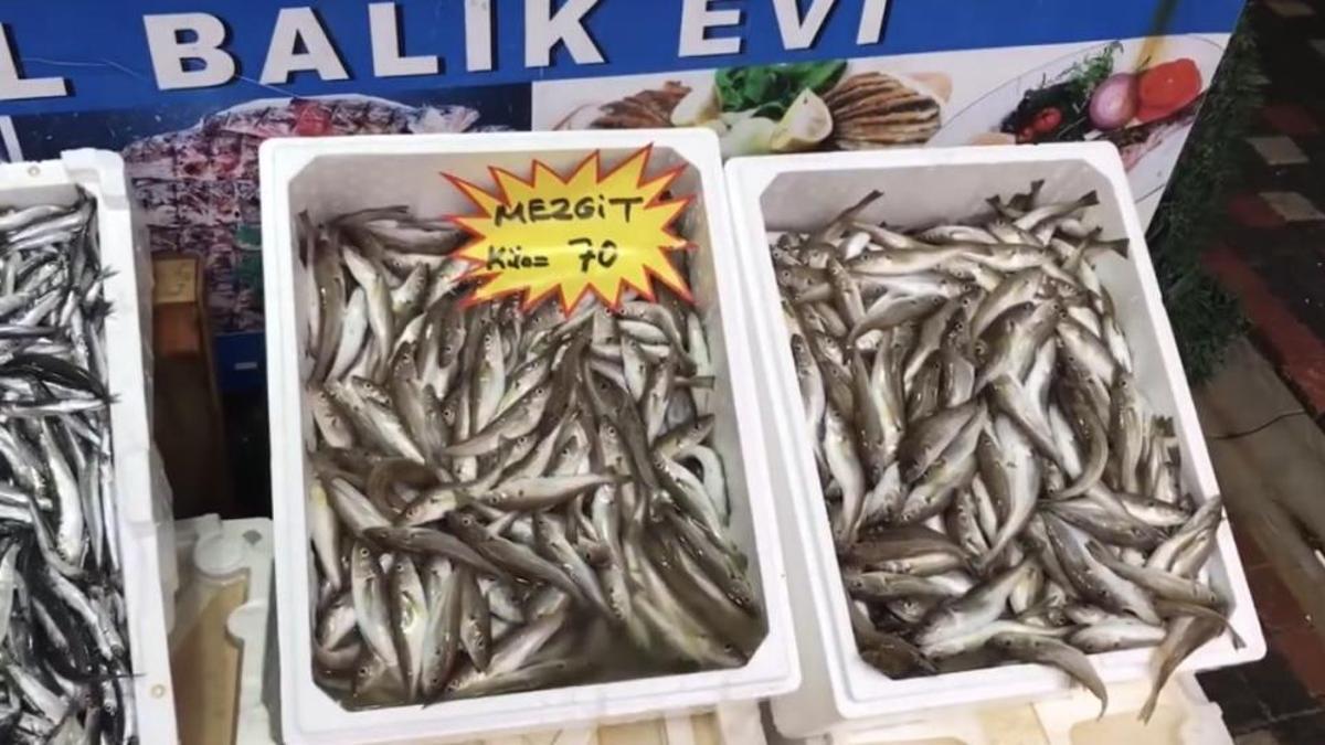 Balık tüketicilerine uyarı: Buzhane balığı tehlike saçıyor