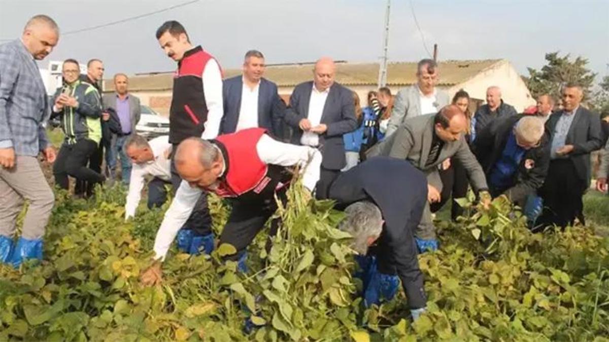 1700'lerden gelen miras! Balıkesir Manyas'ta Kazak Fasulyesi hasadı ilk kez festivalle kutlandı