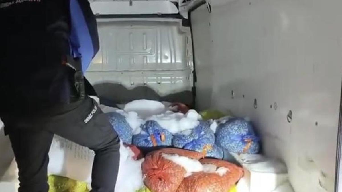 Samsun'da çuval çuval bulundu! Orman içinde izlerini kaybettirdiler