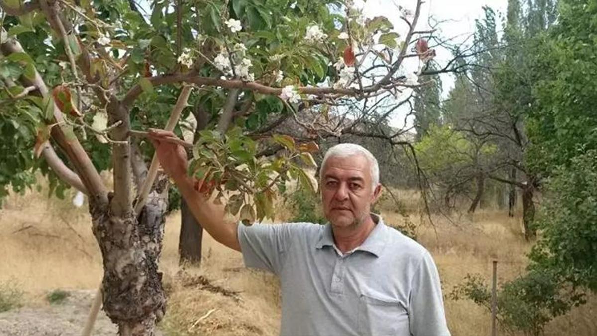Sivas'ta tarlaya inen köylüler dondu, kaldı: Tam 7 metre, hayatımda ilk kez karşılaştım