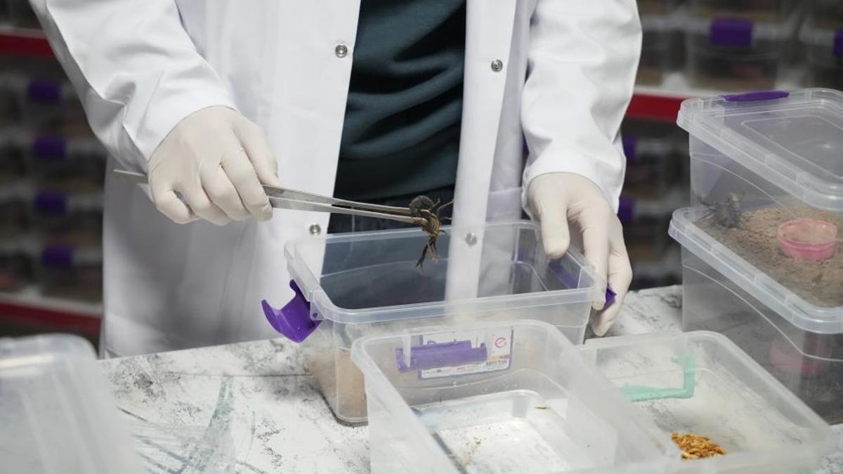 Nevşehir'de tesisi kurdu, Çin ve ABD'ye satıyor! 1 gramı servet değerinde eksi 44 dereceye dayanıklı