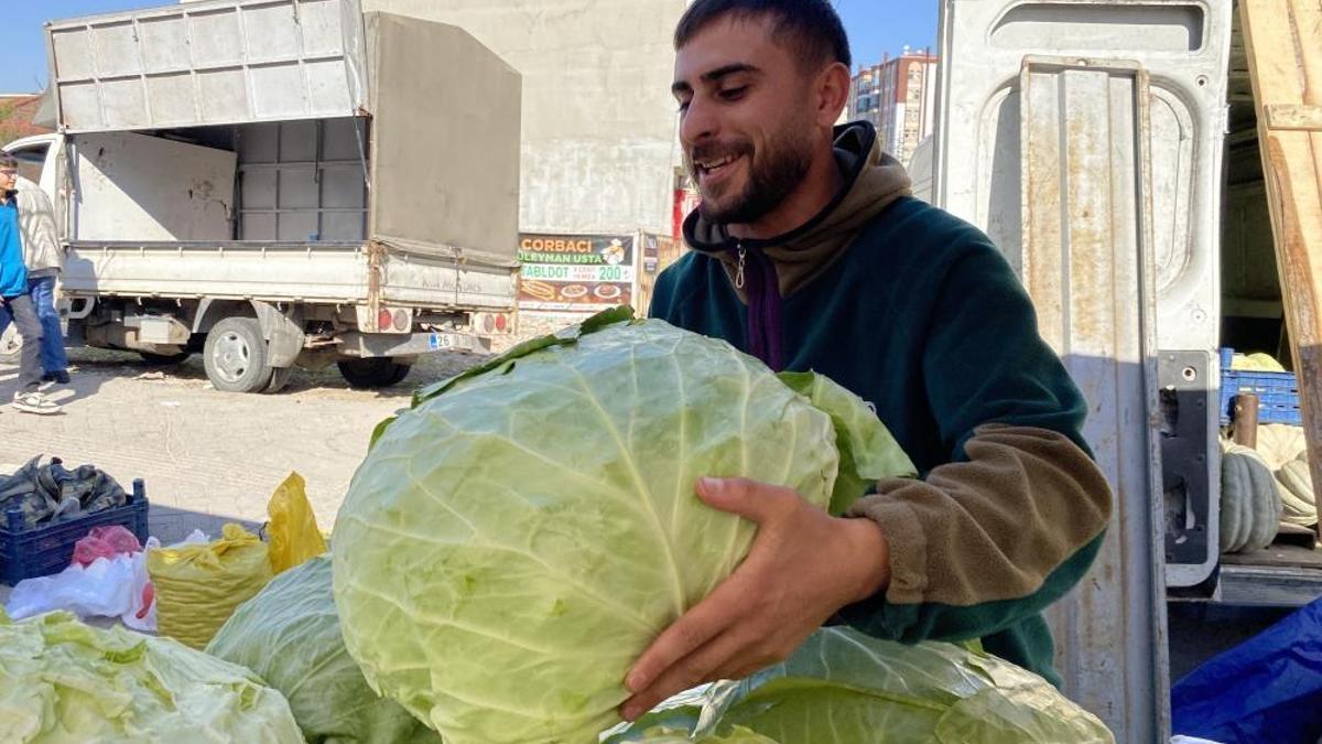 Türkiye'de en ucuzu burada! Devasa lahanalar hasat ediliyor