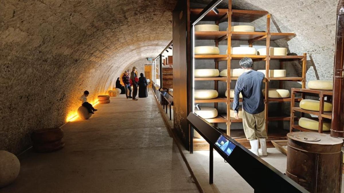 Tarih, kültür ve lezzet tek bir yerde buluştu! Türkiye'nin ilk ve tek peynir müzesi ziyaretçi akınına uğruyor