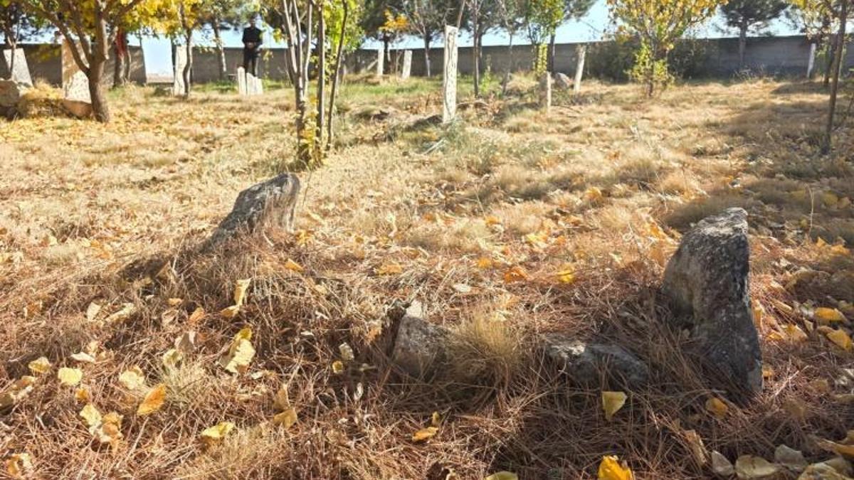 40 bebek Konya'da aynı yere defnedildi! Hikayeyi duyan tek kelime edemiyor