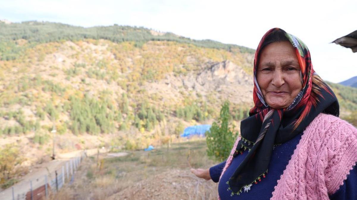 Adana'da 37 yıl önce köylüler dikti! Verilen emekler şimdi ormana dönüştü