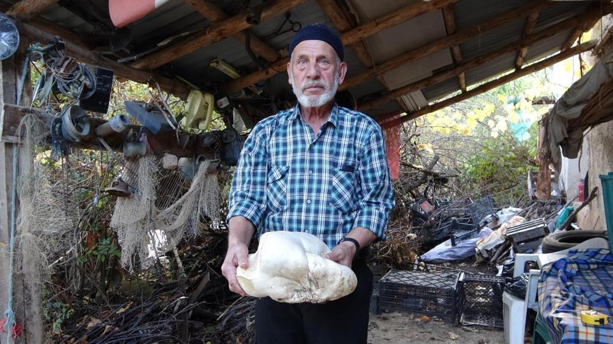 Kütahya'da bulundu, görenler şaştı kaldı! Tam 3 kilo ağırlığında