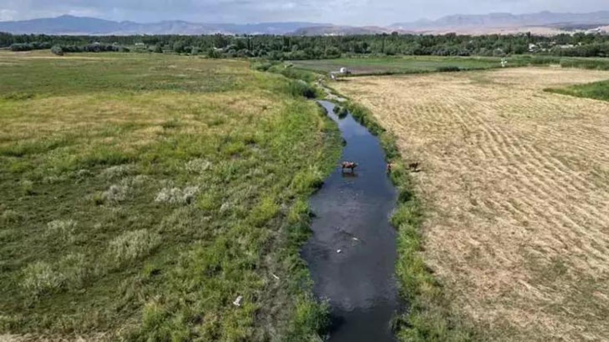 Van'da iki mahalle birleşti! Her şey sular çekildikten sonra oldu