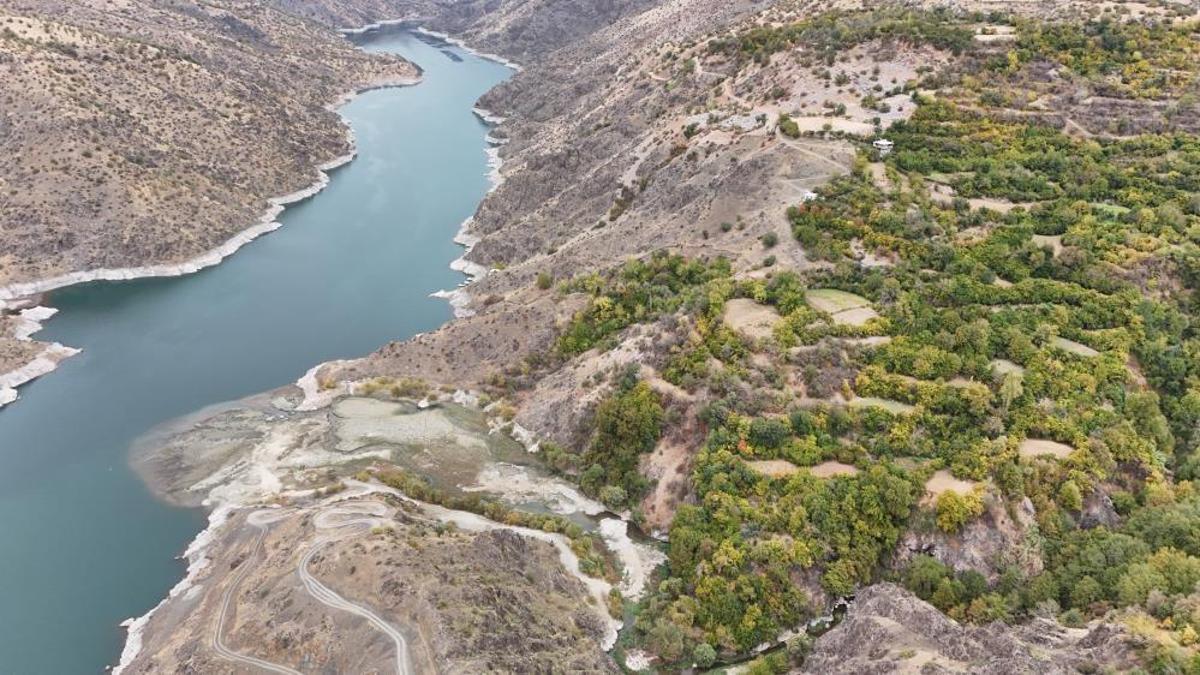 Diyarbakır'ın Akdeniz'i: Bu köye ne eksen onu biçi…