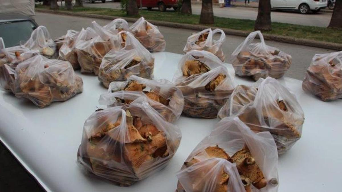 Gök gürültüsüyle birlikte ortaya çıkıyor! Kilosu 350 TL! Kapış kapış satılıyor