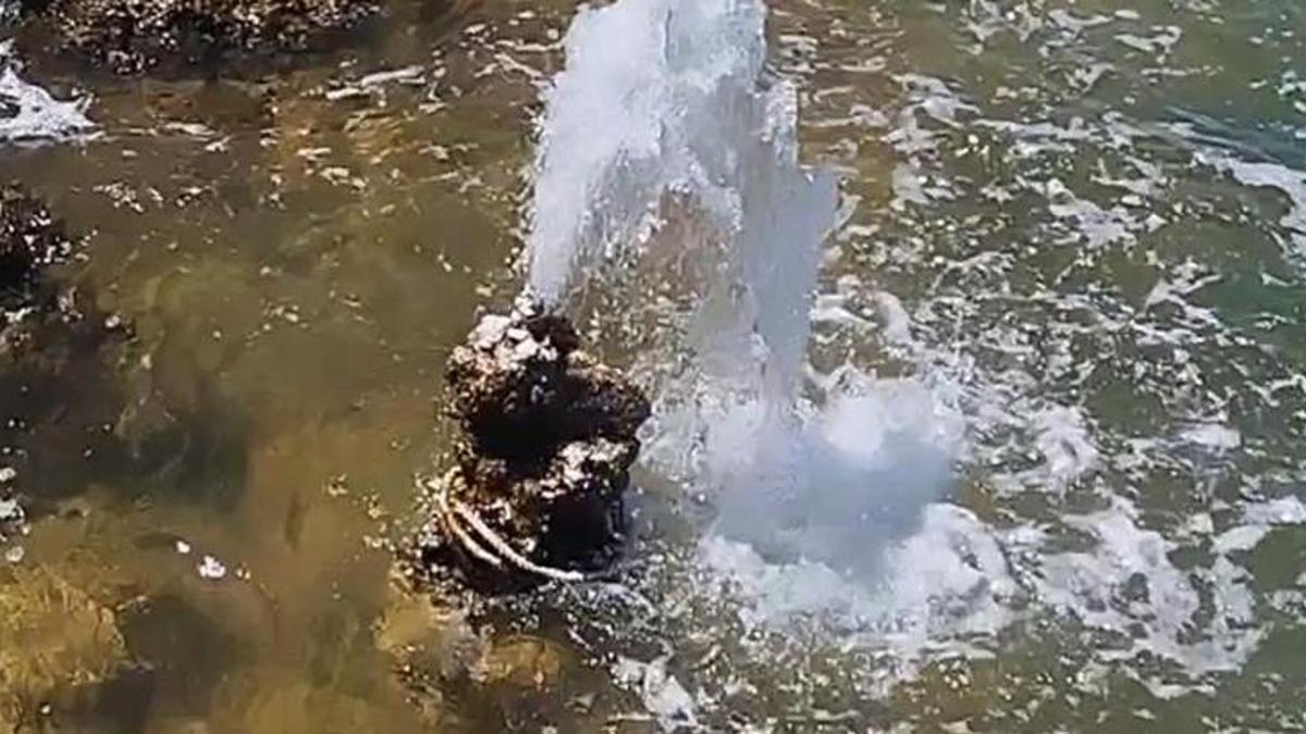 Van Gölü'nde hayrete düşüren görüntü! Mikrobiyalitten tatlı su fışkırdı