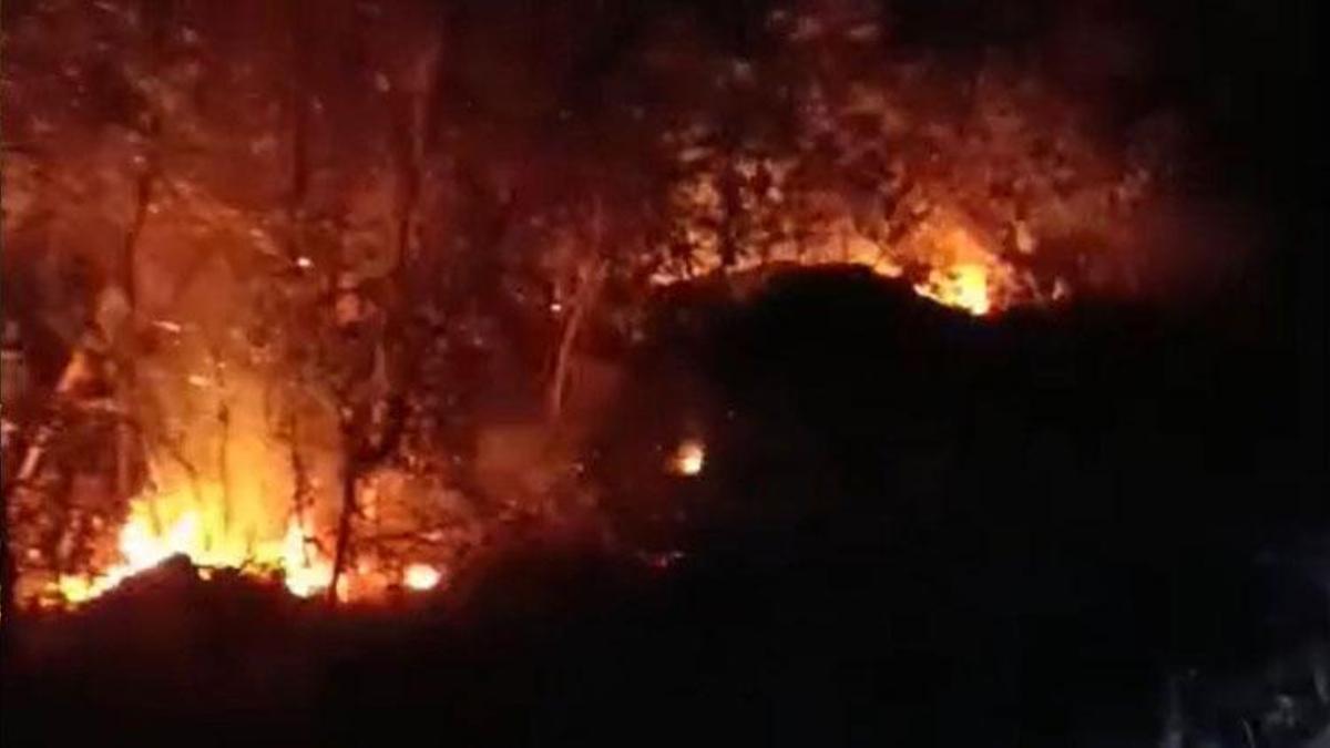 Hatay’da yıldırım kaynaklı orman yangını kontrol altına alındı