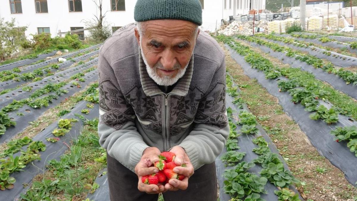 İnternette fenomen oldu, İstanbul'dan ziyaretçi akın etti: Ispartalı İbrahim Dede'den 30 yıldır misafirlerini 'Hayır Bahçesi'nde ağırlıyor
