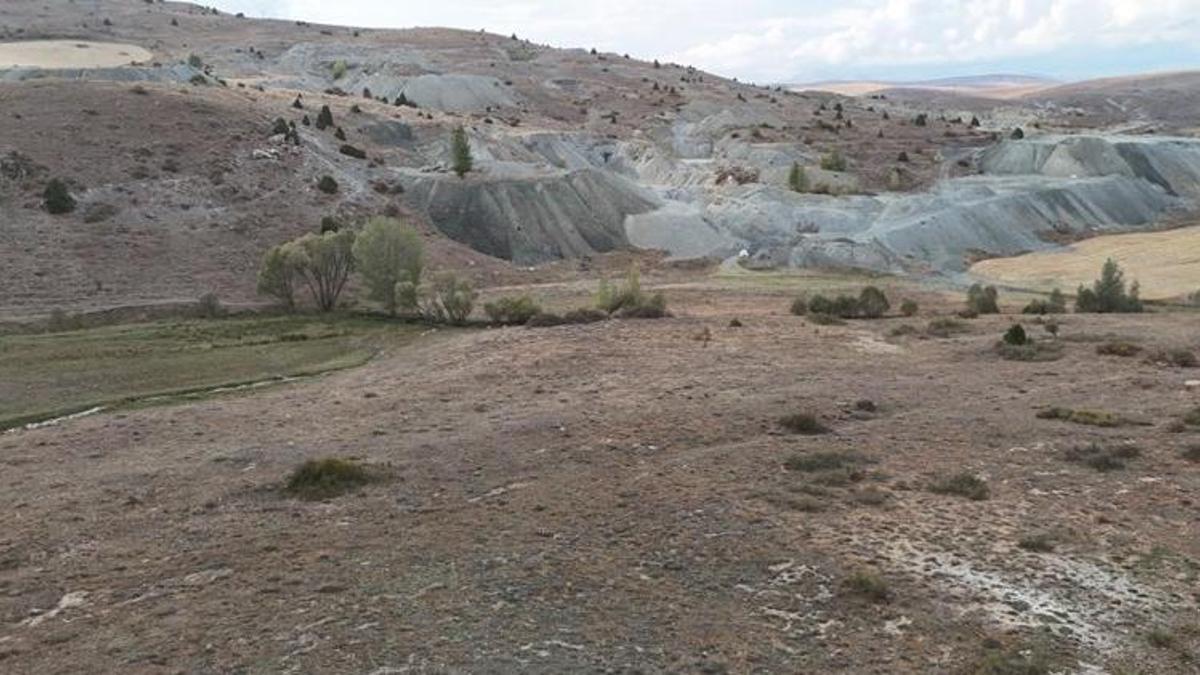 Sivas'ı zengin edecek keşif! Tonlarca altın ve NTE müjdesi, Kangal'dan çıktı