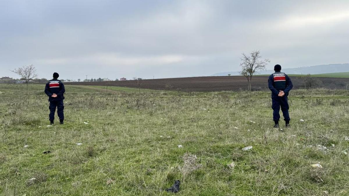 Mantar toplamaya çıktılar, hayatlarının sokunu yaşadılar