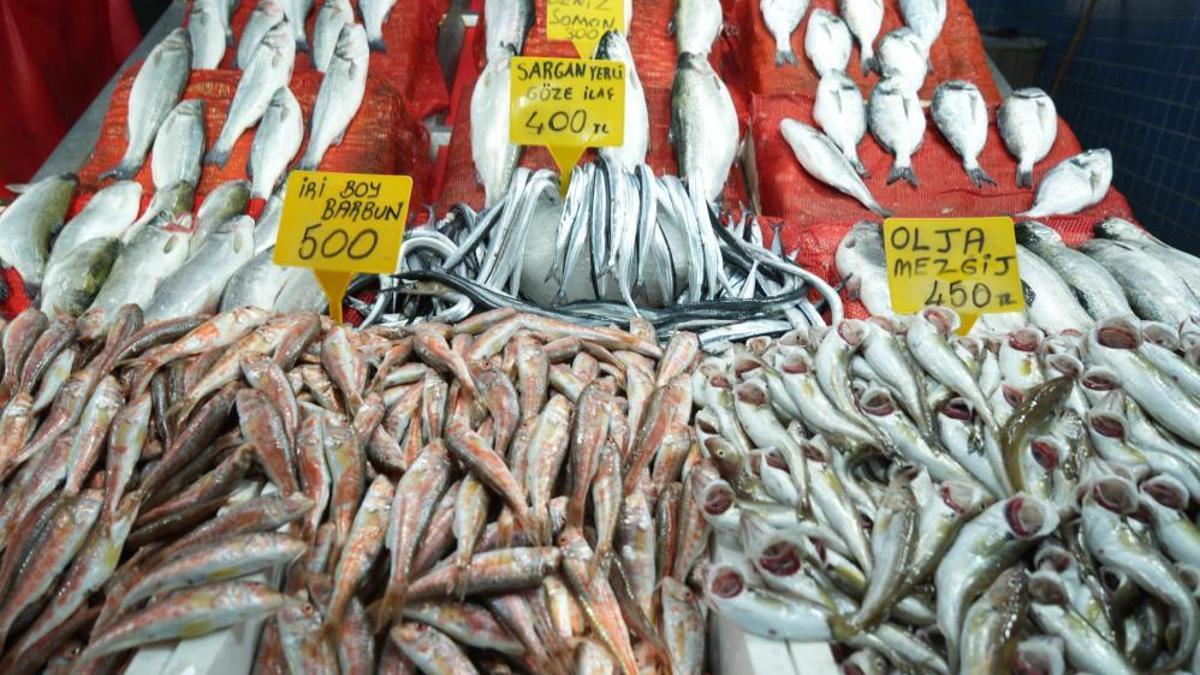 Samsun'da balık fiyatları yükseldi! En uygunu 100 lira en pahalısı 600 lira