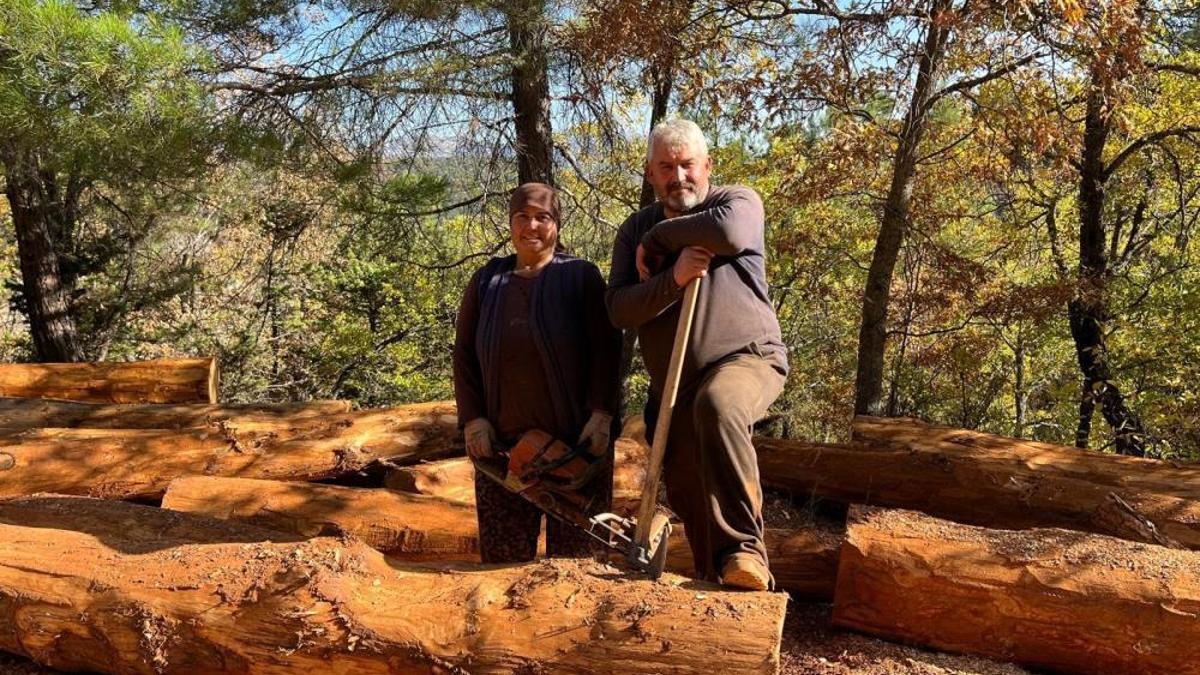 35 yıldır ormanlarda damgalanan ağaçları kesiyorlar! Karı-kocanın zorlu emekleri