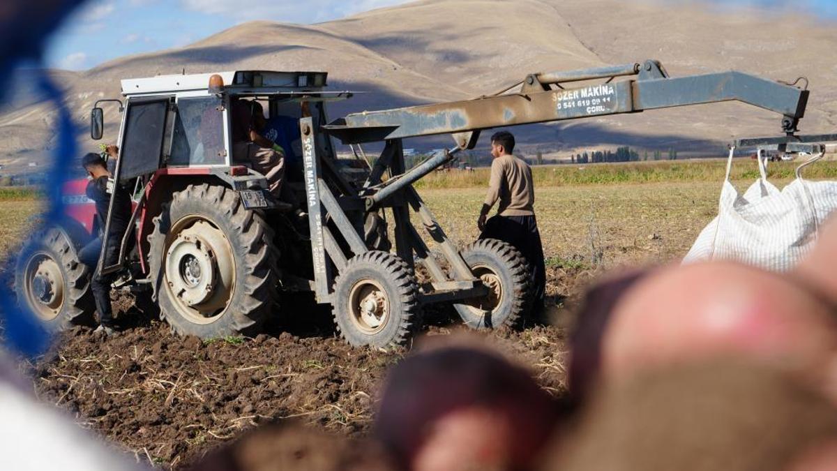 Bayburt'ta patates hasadını İranlılar yapıyor! Kilosu 12 TL'ye gidiyor