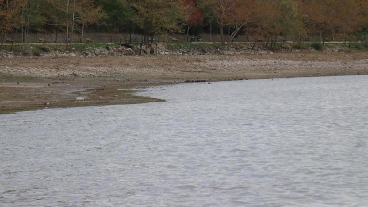 Sakarya'da esrarengiz olay! Balık sandı, gerçeği açıklayamadı: İlk defa gördüm