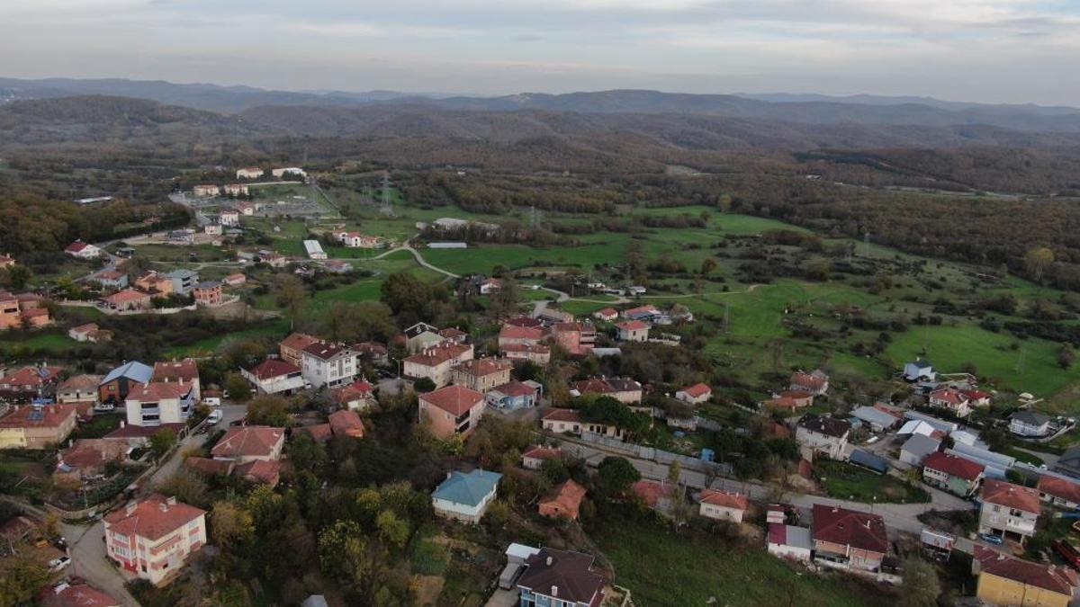Şap alarmı! 3 köy karantinada, 18 mahalle gözetim altında
