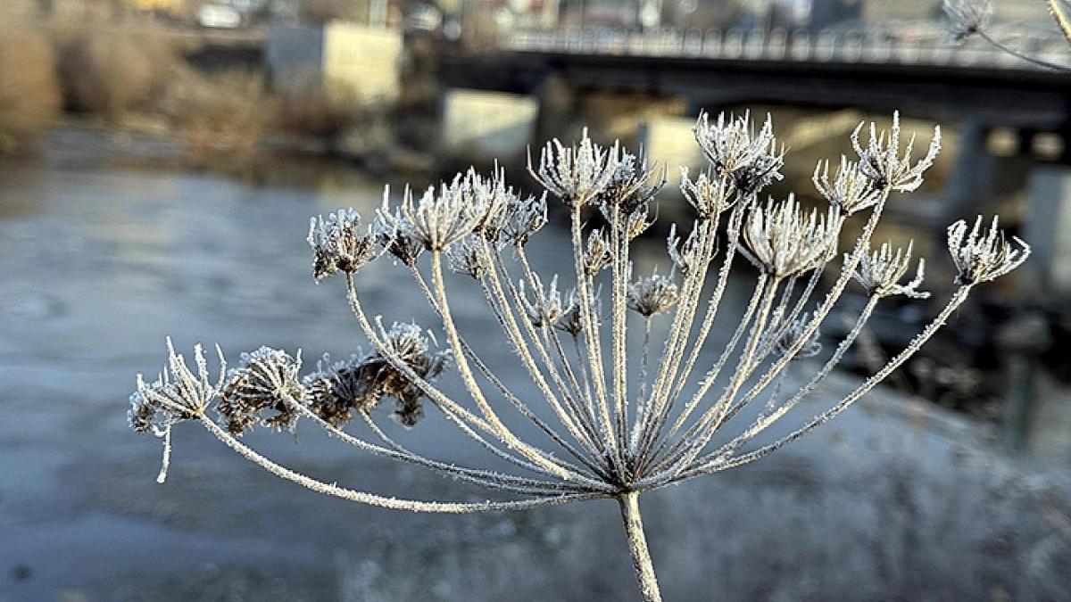 19 Kasım Malatya ve ilçelerinde hava durumu: Bugün yağış var mı?