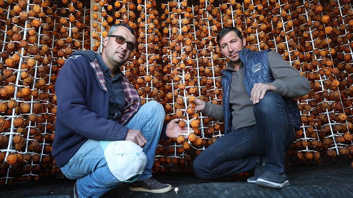 Nevşehirli girişimciler parayı cennet hurmasında buldu! Hayvancılığı bırakıp bu işe girdiler