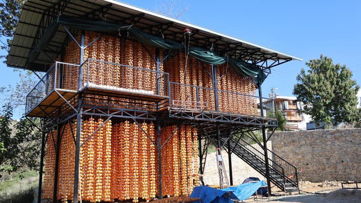 Adana'da bir köy açık fabrikaya dönüştü! 7'den 70'e herkes işin içinde