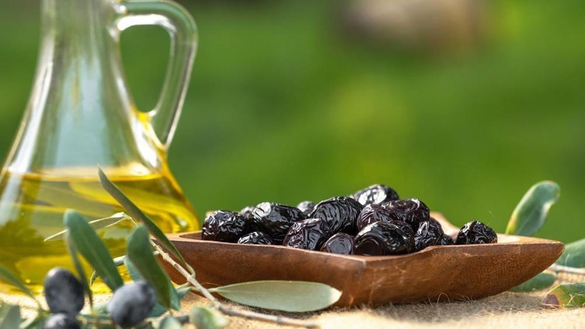 Zeytin üreticilerine 761 milyon liralık ödeme