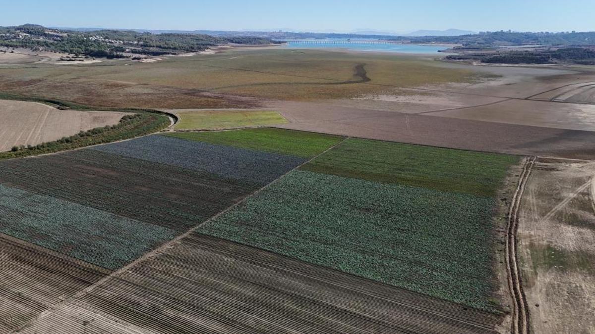 Adana'da kuraklık vurmuştu! Boş araziler şimdi tarım arazisi oldu üretim başladı