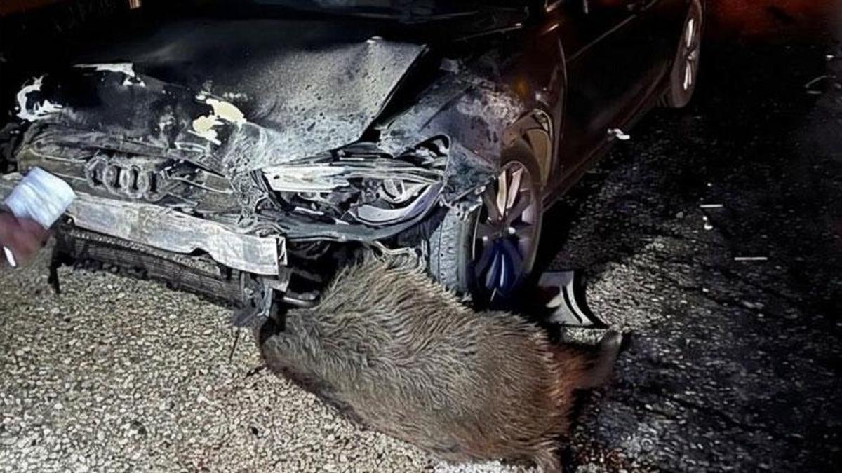 Sinop Belediye Başkanı Metin Gürbüz'ün makam aracı…