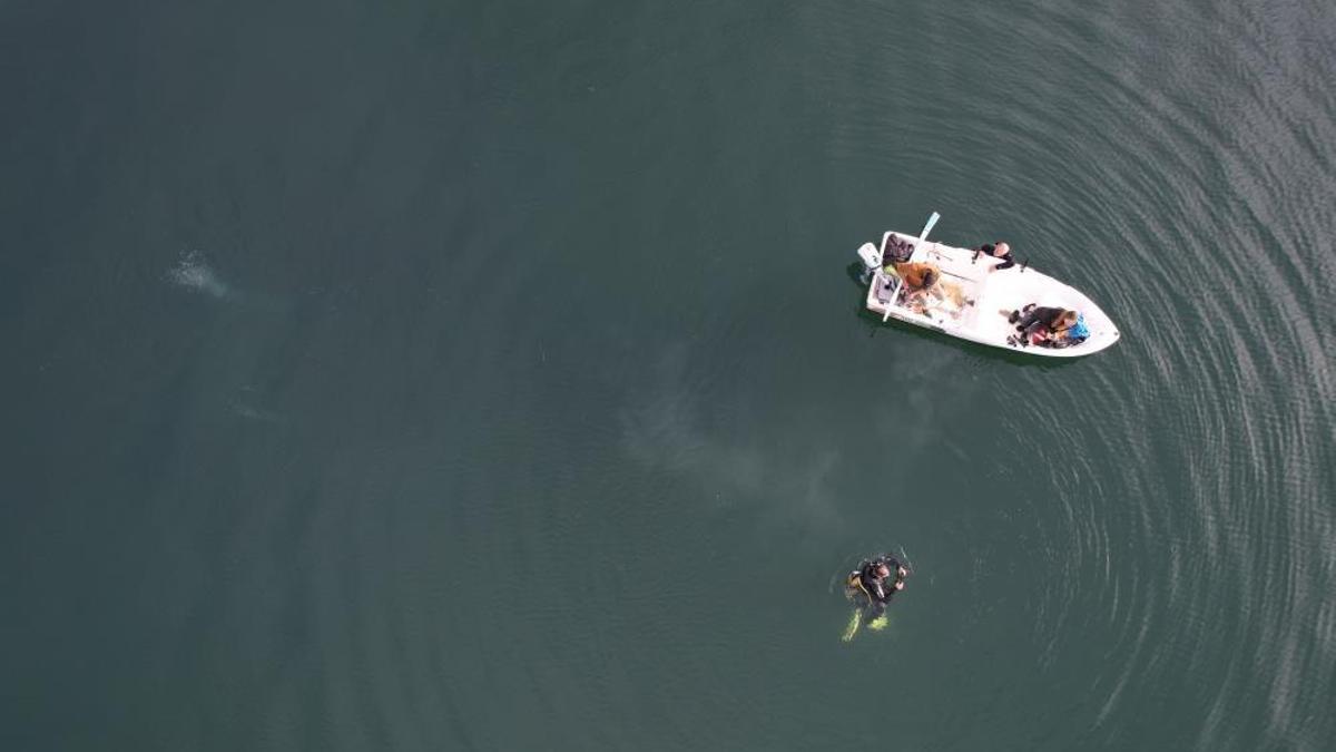 Sapanca Gölü'nde görüldü: Kabarcıkları uzmanı açıkladı! 'Depremi tetikleyebilir'