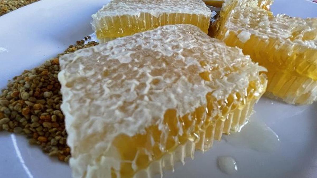 Türkiye'nin ürünleri Avrupa'ya damga vurdu! Karabük'ün meşhur balı AB'den tescil belgesi aldı